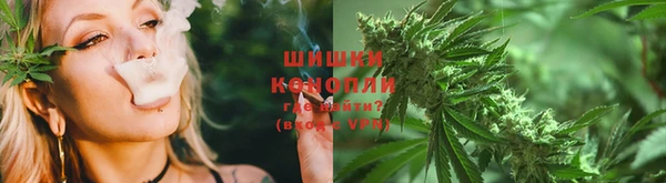 ПСИЛОЦИБИНОВЫЕ ГРИБЫ Пересвет